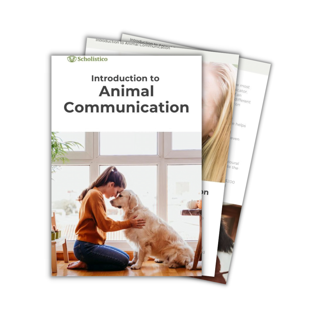 Découvrez la communication animale — commencez votre cours d'introduction gratuit dès aujourd'hui.