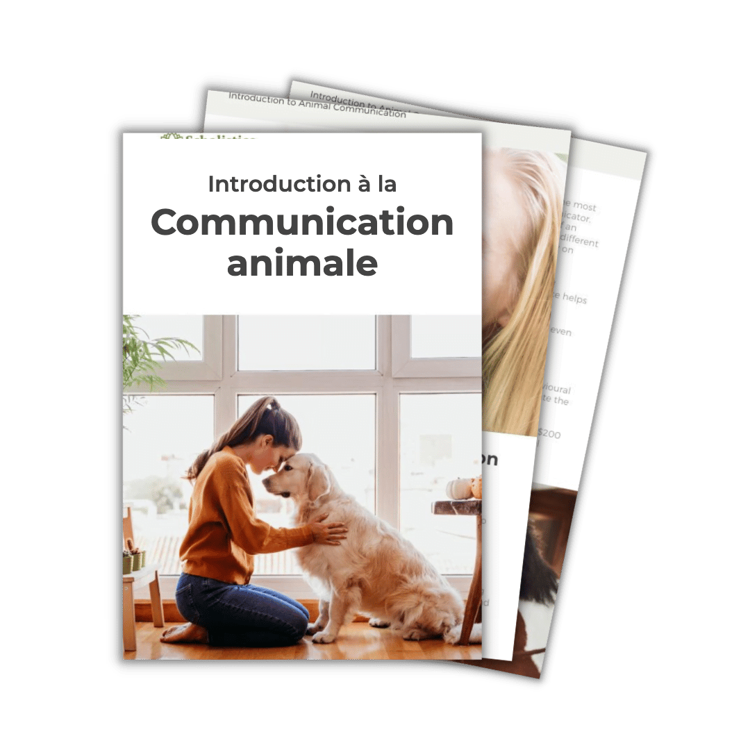 Découvrez la communication animale — commencez votre cours d'introduction gratuit dès aujourd'hui.
