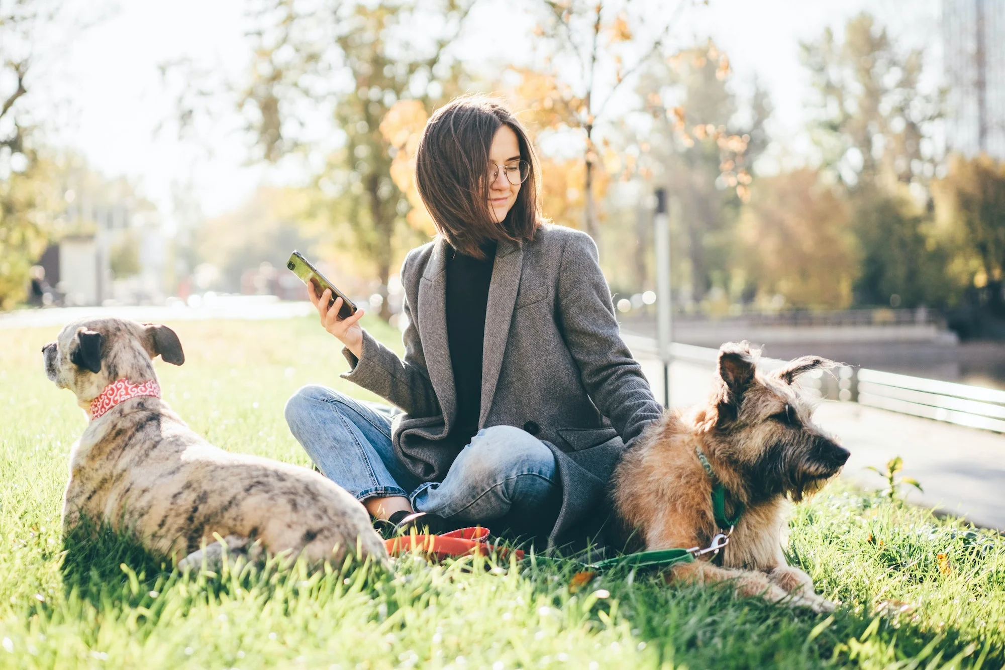 Certification de spécialiste en communication animale